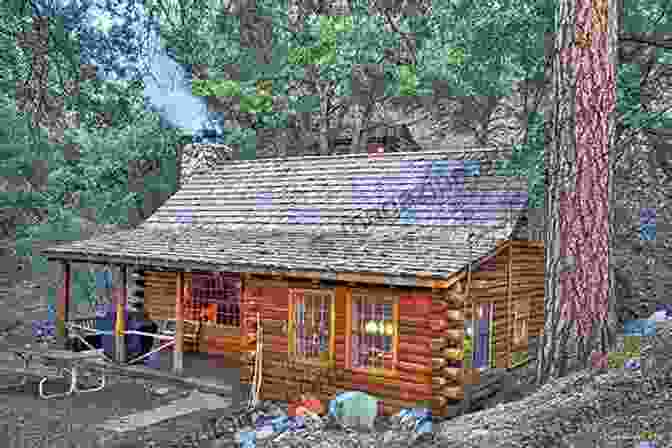 A Cozy Log Cabin Nestled In The Woods. Of Houseplans 2024: House Designs Ideas Inspiration For Self Builders