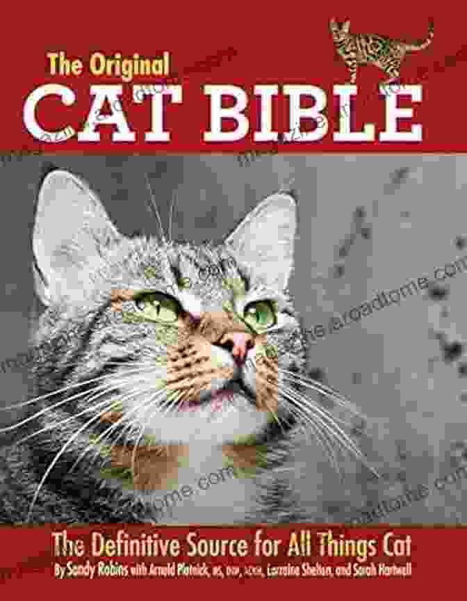 A Cute Cat The Original Cat Bible: The Definitive Source For All Things Cat