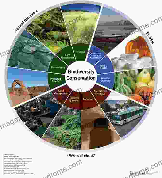 A Depiction Of The Diverse Societal Benefits And Challenges Associated With Geological Resources Prehistoric River Saraswati Western India: Geological Appraisal And Social Aspects (Society Of Earth Scientists Series)