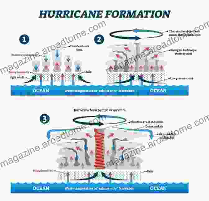 A Detailed Diagram Illustrating The Anatomy Of A Hurricane, Showing Its Various Components What Are Hurricanes? (Wicked Weather)