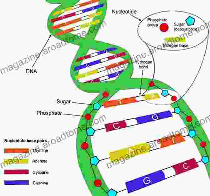 A Detailed Illustration Of A DNA Molecule, Showcasing Its Double Helix Structure And The Intricate Arrangement Of Nucleotides. Blue Genes Karen Schless Pressley