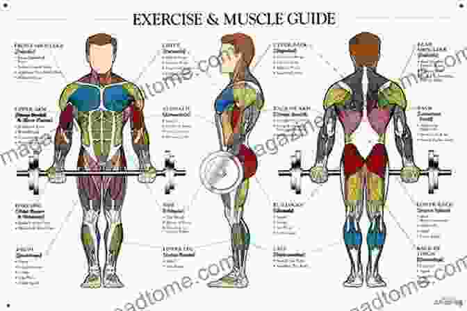 A Healthy Heart Do You Know The Way To Your Heart?: Understanding Your Beating Muscle To Help You Live Well