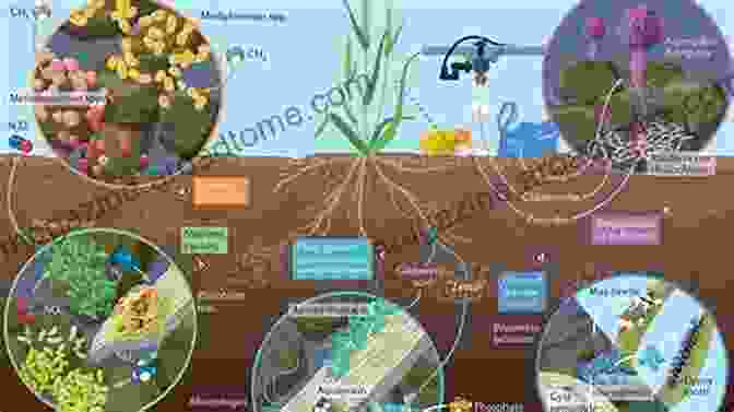 A Lush Image Of Healthy Soil, Teeming With Microorganisms And Organic Matter, Emphasizing Its Importance For Life On Earth. Earth Materials Kevin Hefferan