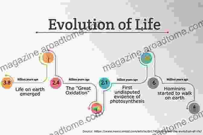 A Timeline Illustrating The Evolution Of Domesticity Return Of The Old Fashioned Housewife: Advice On Homemaking Urban Homesteading And A Simpler Life