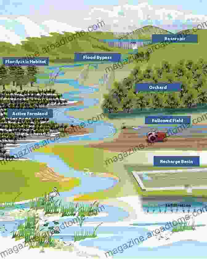 A Vibrant Floodplain Ecosystem In The Dinder Basin Land Degradation In The Dinder And Rahad Basins: Interactions Between Hydrology Morphology And Ecohydrology In The Dinder National Park Sudan (IHE Delft PhD Thesis Series)