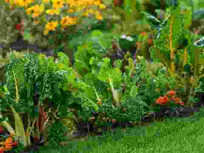 A Vibrant Raised Bed Garden Filled With Fresh, Organic Vegetables And Herbs Let S Build A Raised Bed Garden (Common Sense 2)