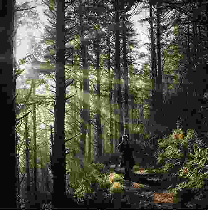 A Woman Standing In A Sunlit Forest, Her Gaze Fixed Upon An Ancient Tree Trunk Adorned With The Green Man's Face, A Symbol Of Her Connection To The Natural World The Soul Of The Green Man