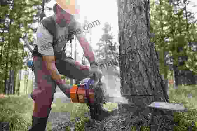 An Image Of A Person Using A Chainsaw To Trim And Flatten The Trunk Of A Fallen Tree. How To Make A Chainsaw Mill And How To Use It: The Tips And Tricks That Will Unlock The Magical Art Of Planking Up Fallen Trees