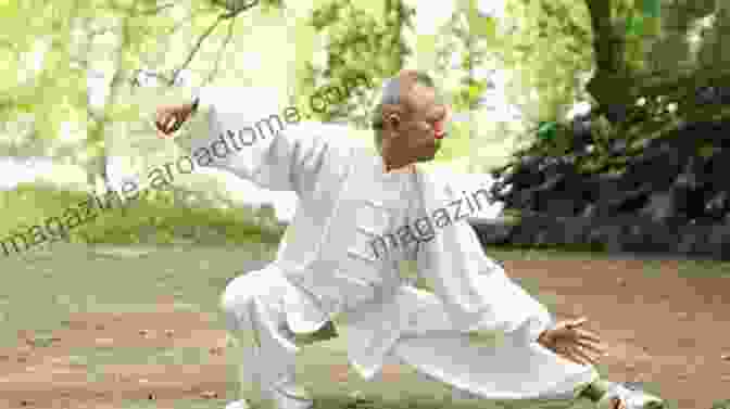 Author 1 Tai Chi Internal Exercises For Tai Ji Quan Practitioners