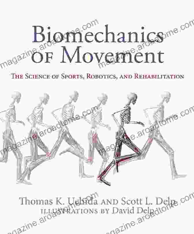 Biomechanics Principles Anatomy And Human Movement E Book: Structure And Function (Physiotherapy Essentials)