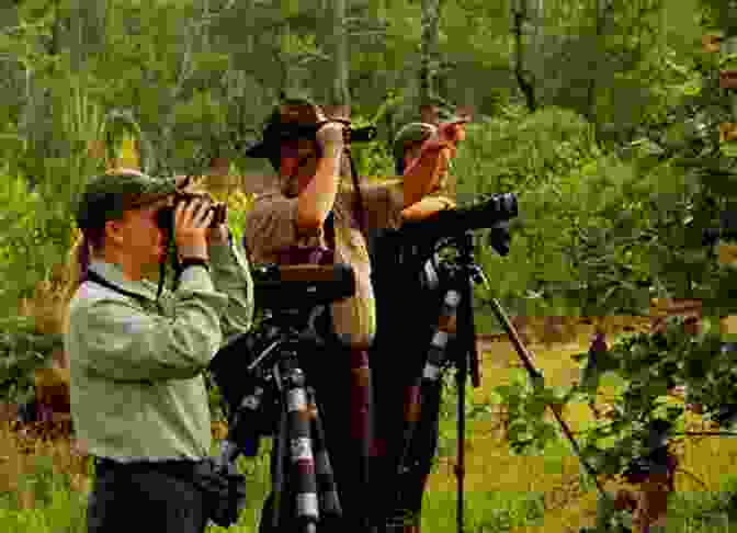 Bird Watching Along The Riverbank Discovering The World Of Nature Along The Riverbank