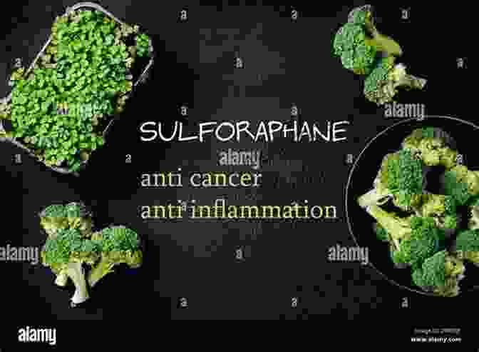 Broccoli, A Cruciferous Vegetable Rich In Sulforaphane, An Anti Inflammatory And Cancer Fighting Compound The Easy Anti Inflammatory Diet: Fast And Simple Recipes For The 15 Best Anti Inflammatory Foods