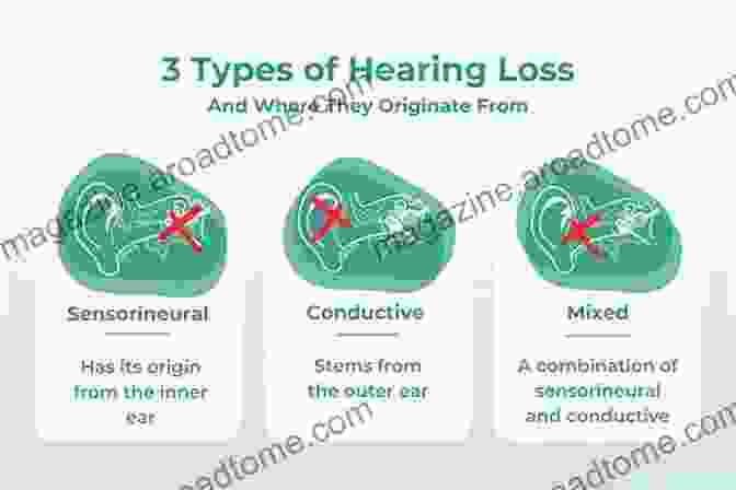 Diagram Of Different Types Of Hearing Loss Listen Up : A Physician S Guide To Effectively Treating Your Hearing Loss