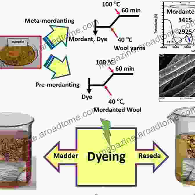 Diagram Of The Mordanting Process How To Dye Your Fabrics Safely At Home: A Guide To Control The Dyeing Process