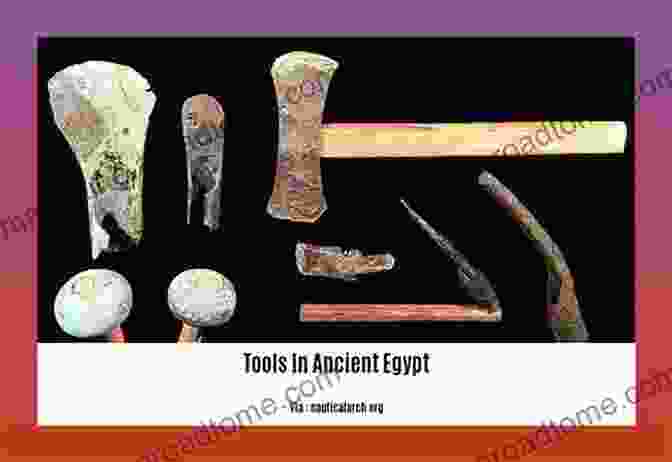 Display Of Various Ancient Tools, Showcasing The Ingenuity And Craftsmanship Of Past Civilizations The Ward Uncovered: The Archaeology Of Everyday Life