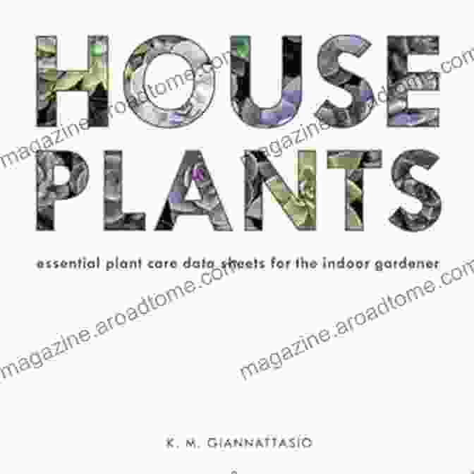 Essential Plant Care Data Sheets For The Indoor Gardener HOUSEPLANTS: Essential Plant Care Data Sheets For The Indoor Gardener