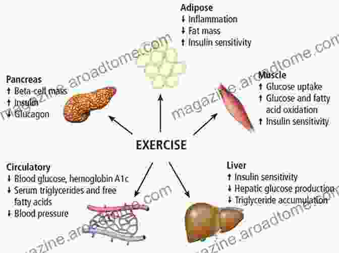 Exercise For Diabetes Tailored Plans, Insulin Sensitivity, Energy Boost Keeping Diabetes At Bay: Effective Diet And Lifestyle Tips Against Type 2 Diabetes