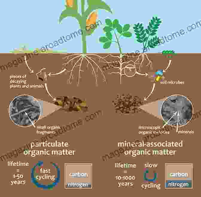 Healthy Soil Teeming With Microbes And Organic Matter, Supporting Carbon Sequestration Soil Erosion And Carbon Dynamics (Advances In Soil Science)