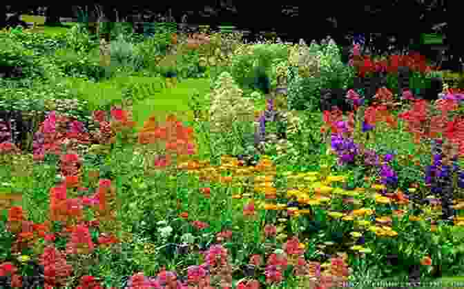 Image Of A Colorful Garden With Plants Of Different Heights 101 Gardening Tips Lv Hen