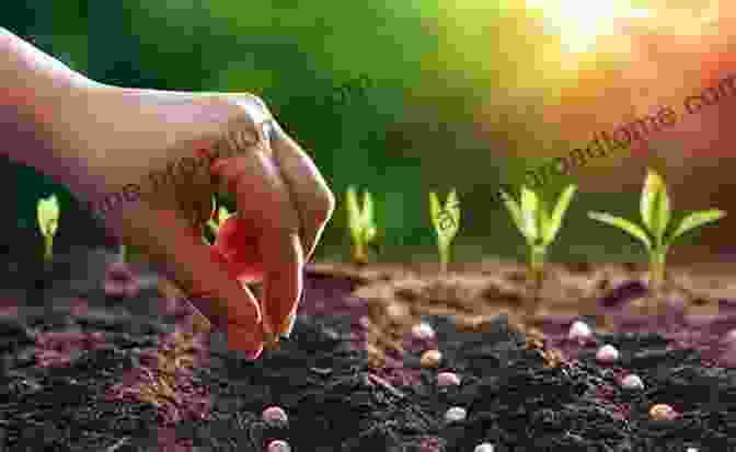 Image Of A Person Planting Seeds In A Garden In Springtime 101 Gardening Tips Lv Hen