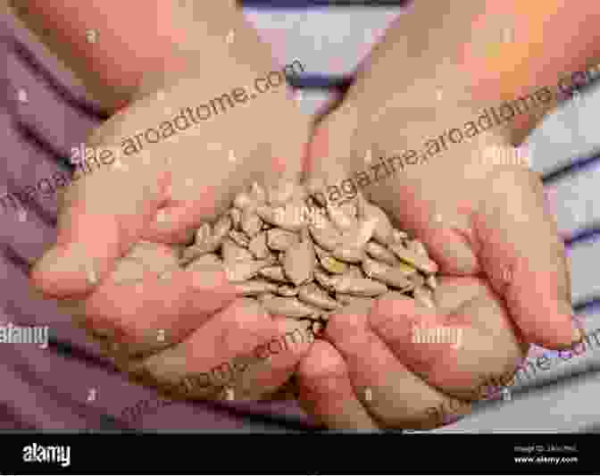 Image Of A Young Girl Holding A Handful Of Seeds Listening To The Wind (Seedbank 2)