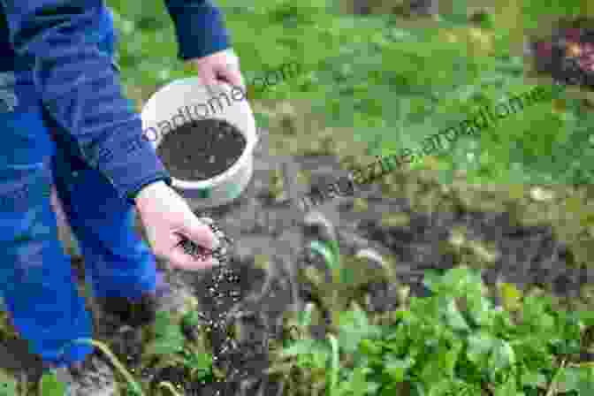 Image Of Someone Fertilizing Plants In A Garden 101 Gardening Tips Lv Hen