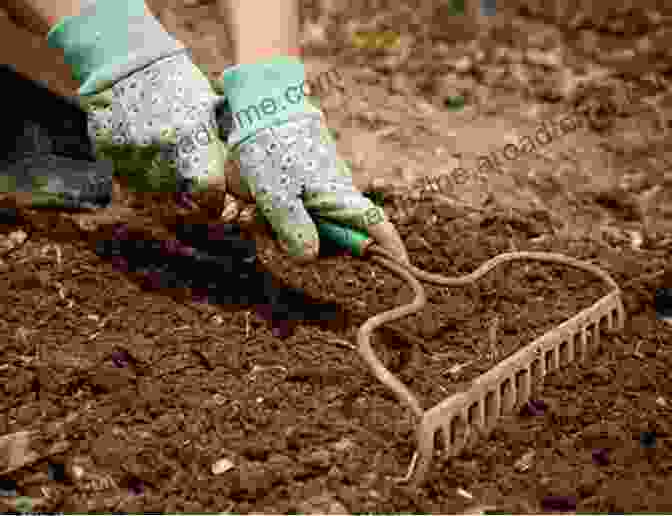 Image Of Someone Tilling Soil In A Garden 101 Gardening Tips Lv Hen