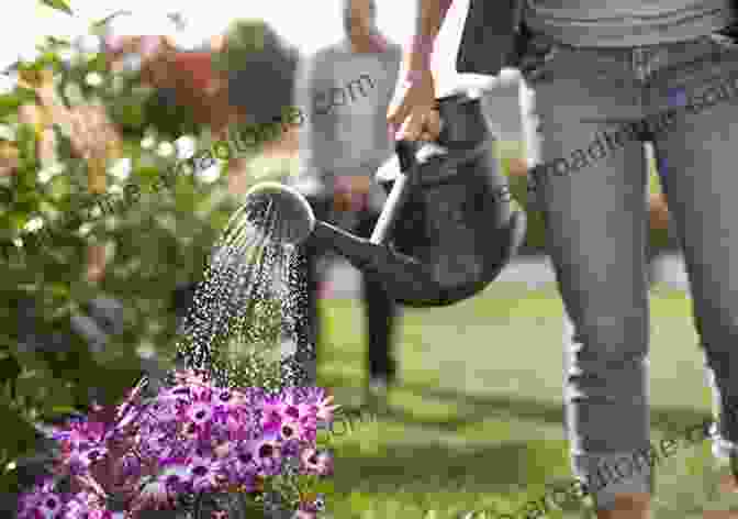 Image Of Someone Watering Plants In A Garden 101 Gardening Tips Lv Hen