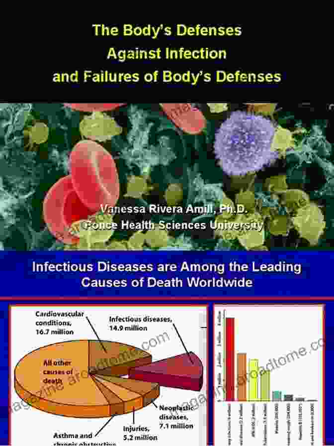 Immunodeficiencies: When The Body's Defenses Fail Immunosurveillance Immunodeficiencies And Lymphoproliferations: Lymphoproliferative DisFree Downloads In Congenital And Acquired Immunodeficiencies (Recent Results In Cancer Research 159)