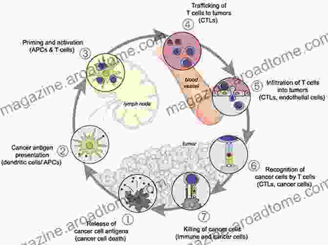 Immunosurveillance: The Body's Watchdog Immunosurveillance Immunodeficiencies And Lymphoproliferations: Lymphoproliferative DisFree Downloads In Congenital And Acquired Immunodeficiencies (Recent Results In Cancer Research 159)