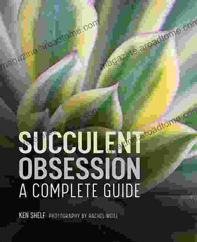 Ken Shelf's Succulent Obsession Book Succulent Obsession Ken Shelf