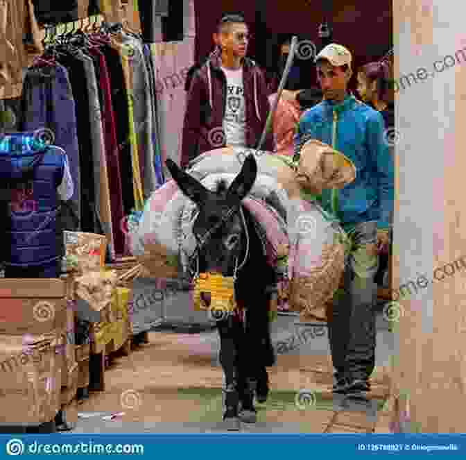 Marrakech Market Donkey Transportation In Many Cultures (Life Around The World)