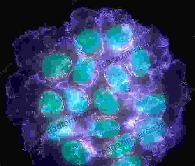 Microscope Image Of Cancer Cells The Emperor Of All Maladies: A Biography Of Cancer