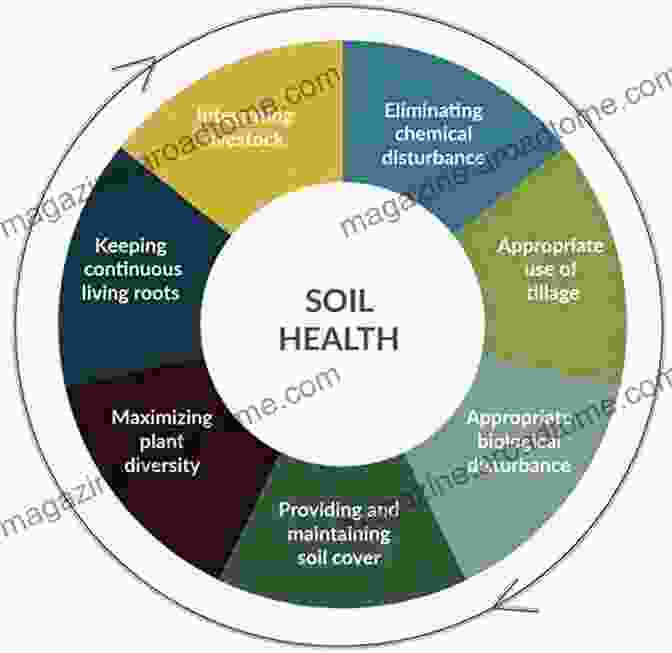 Policymakers And Stakeholders Discussing Soil Conservation Strategies Soil Erosion And Carbon Dynamics (Advances In Soil Science)