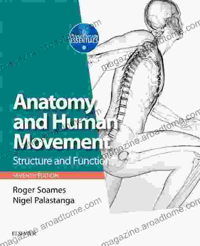 Rehabilitation Techniques Anatomy And Human Movement E Book: Structure And Function (Physiotherapy Essentials)