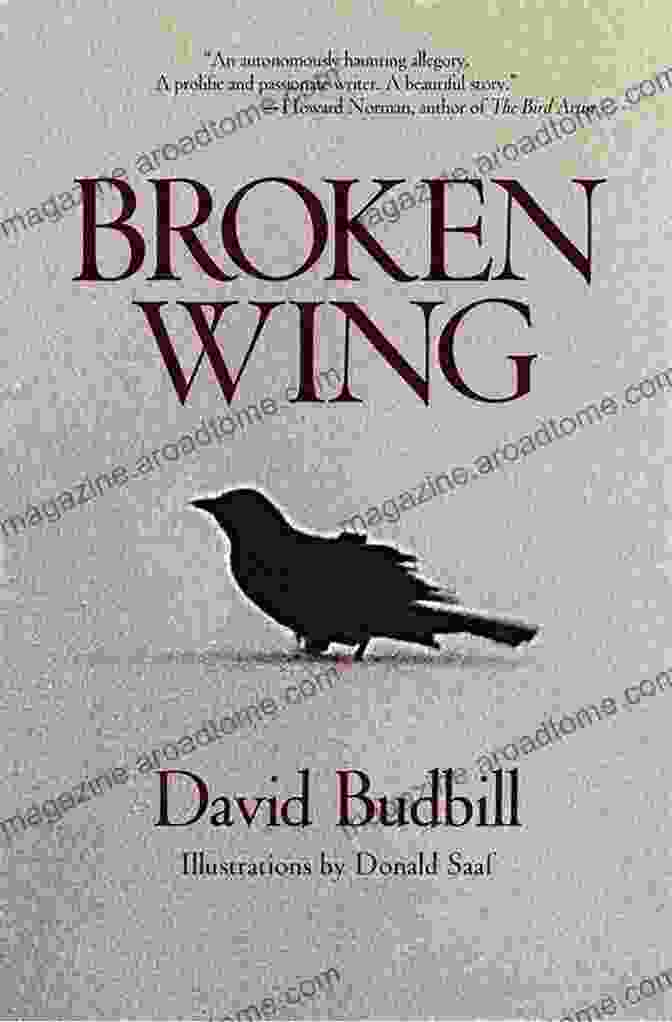 The Broken Wings Book Cover Featuring A Broken Winged Angel The Broken Wings Kahlil Gibran