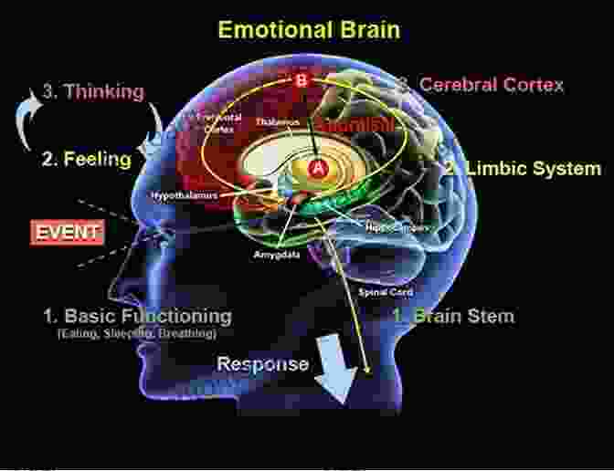 The Evolution Of The Emotion Processing Mind: Unraveling The Mysteries Of Human Consciousness The Evolution Of The Emotion Processing Mind