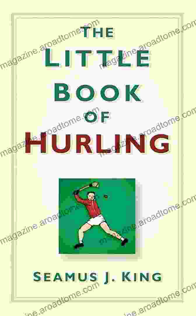 The Little Book Of Hurling Book Cover The Little Of Hurling