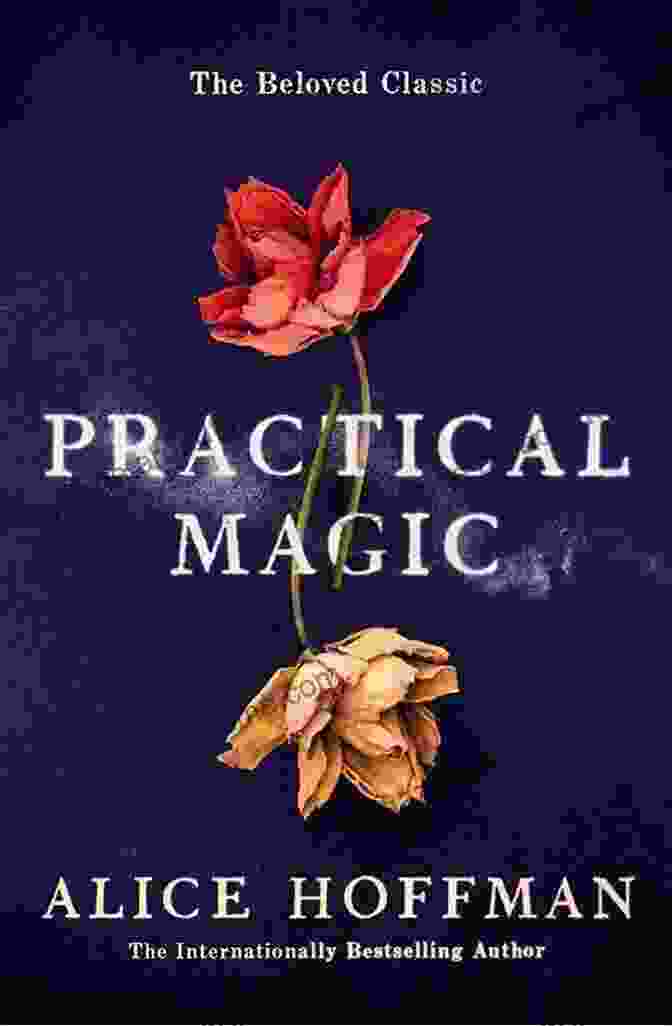 The Little Book Of Practical Magic Book Cover The Little Of Practical Magic (The Little Of Magic)