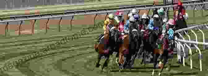 Thrilling Horse Race At A New York State Racetrack NEW YORK STATE Racing Pari Mutuel Wagering And Breeding Law 2024 EDITION