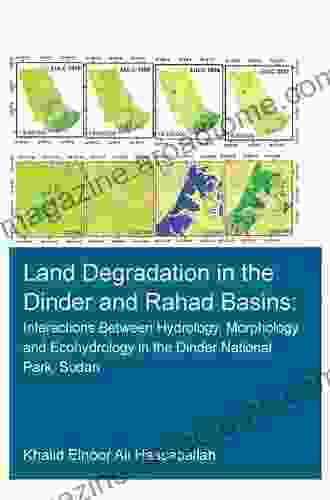 Land Degradation In The Dinder And Rahad Basins: Interactions Between Hydrology Morphology And Ecohydrology In The Dinder National Park Sudan (IHE Delft PhD Thesis Series)