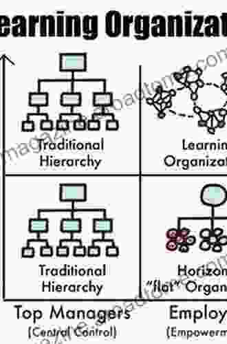 The Structure Of Learning: From Sign Stimuli To Sign Language