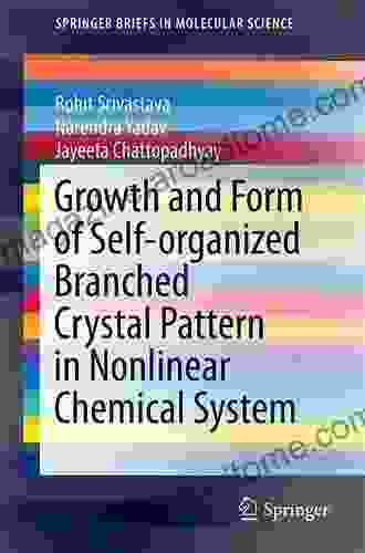 Growth And Form Of Self Organized Branched Crystal Pattern In Nonlinear Chemical System (SpringerBriefs In Molecular Science)