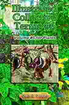 Illustrated Collective Terms #6: Volume #6 For Plants