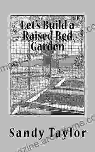 Let S Build A Raised Bed Garden (Common Sense 2)