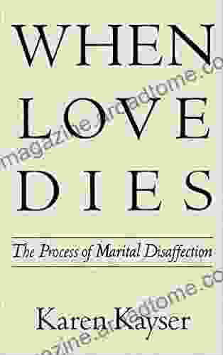 When Love Dies: The Process of Marital Disaffection (Perspectives on Marriage and the Family)