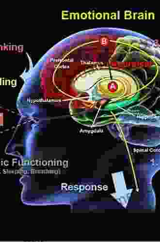 The Evolution Of The Emotion Processing Mind