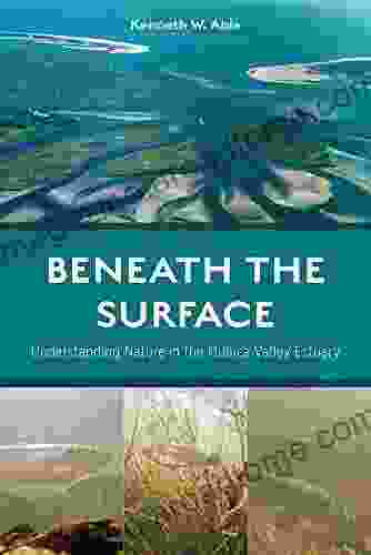 Beneath The Surface: Understanding Nature In The Mullica Valley Estuary